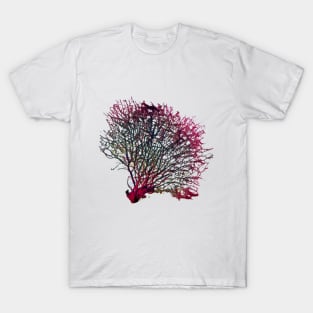 Coral T-Shirt